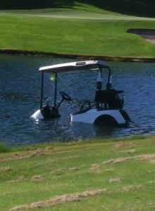 1017395_4367309640055_1574415435_n