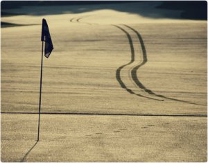 5690229581_d96c5cf74b